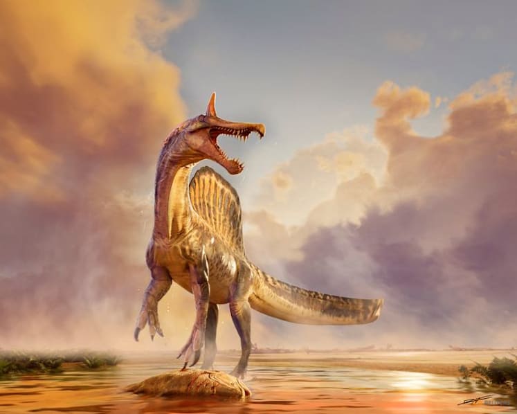 A Sahara desert odyssey yields a major dinosaur discovery