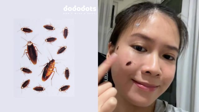蟑螂贴上脸，可能会被打？