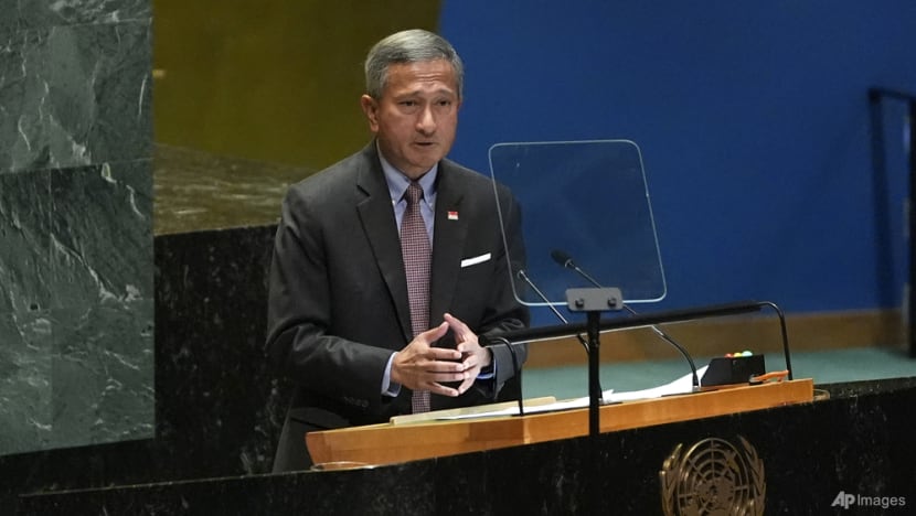 Important to 'empower and transform' the UN so that it is future-ready: Vivian Balakrishnan