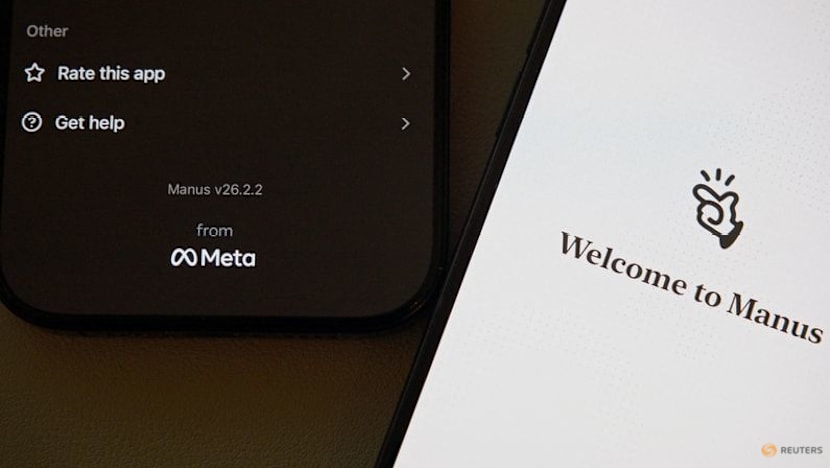 ‘Killing the chicken to scare the monkey’: Why China blocked the Meta-Manus deal