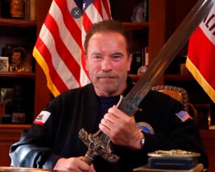 Arnold Schwarzenegger compares US Capitol mob to Nazis