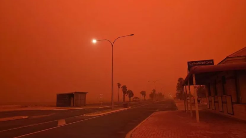 Gambar Pilihan Hari Ini