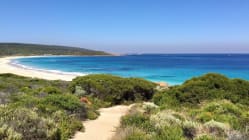 Related article image