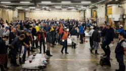 Related article image