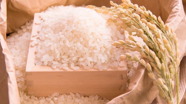 日本两大连锁便利店开始售卖政府储备米 以缓解米价飙涨问题