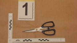 Related article image