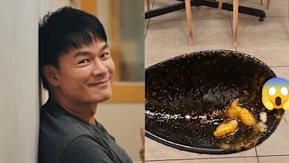 Thomas Ong's Friend Finds Cockroach In Curry Yong Tau Foo In JB; His Reaction: 'Your Eyesight Is Really Good!'