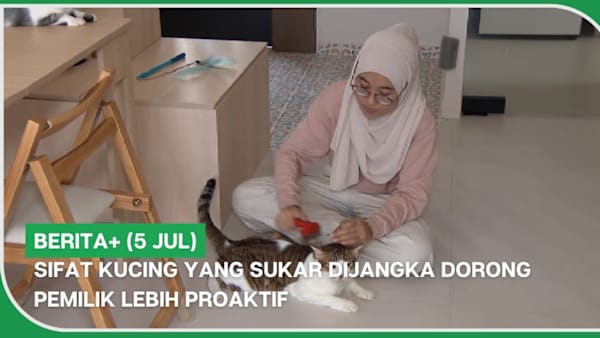 BERITA+ (5 Jul) | Sifat kucing yang sukar dijangka dorong pemilik lebih proaktif