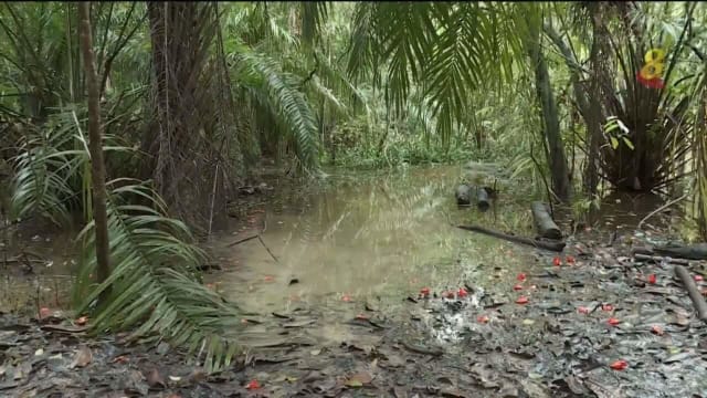 武吉知马山地脚踏车道部分路段淹水 引发脚踏车骑士担忧
