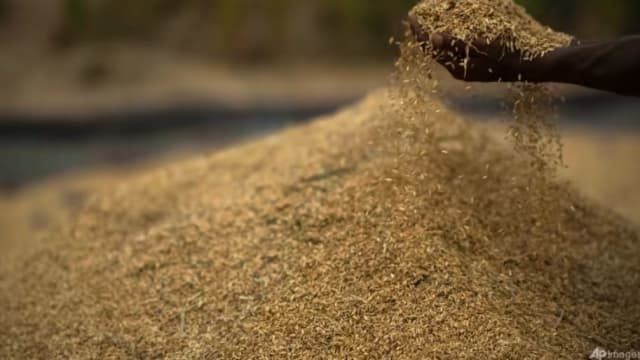 印度禁特定白米出口 我国正在寻求豁免