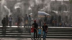 Related article image