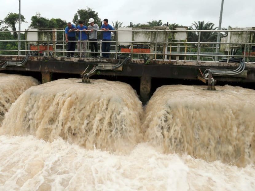 An illegal poultry farm that makes fertiliser using chicken manure has been found to be the source of ammonia pollution in Sungai Johor that led to the temporary shutdown of three water treatment plants. Photo: New Straits Times