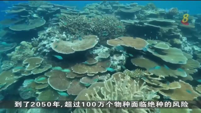 联合国召开生物多样性大会 一万多名代表将参与协议保护全球