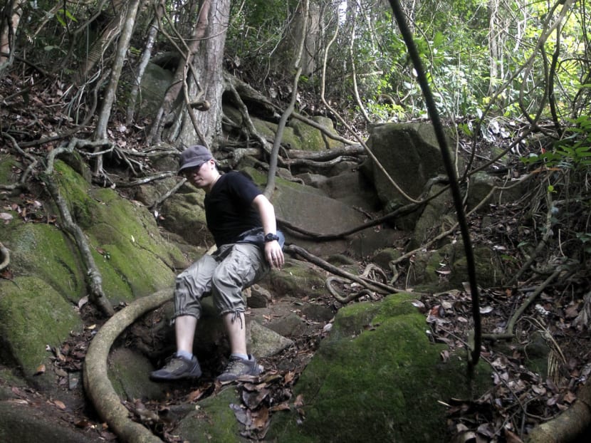 A sense of sadness, concern with looming closure of Bukit Timah Nature Reserve