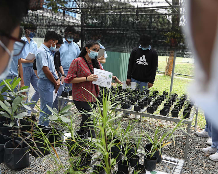 Commentary: Sustainability starts in schools, but first we need a more holistic approach to education
