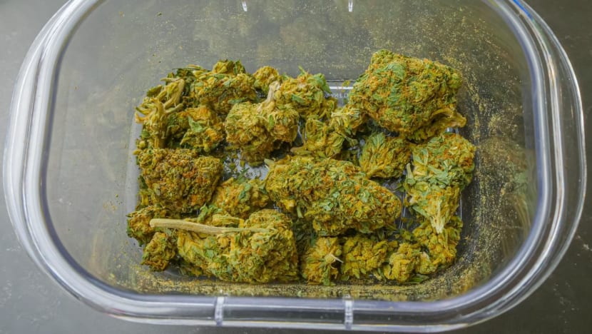 Man gets jail, caning for drug offences after friend asked for help to buy cannabis Man gets jail, caning for drug offences after friend asked for help to buy cannabis