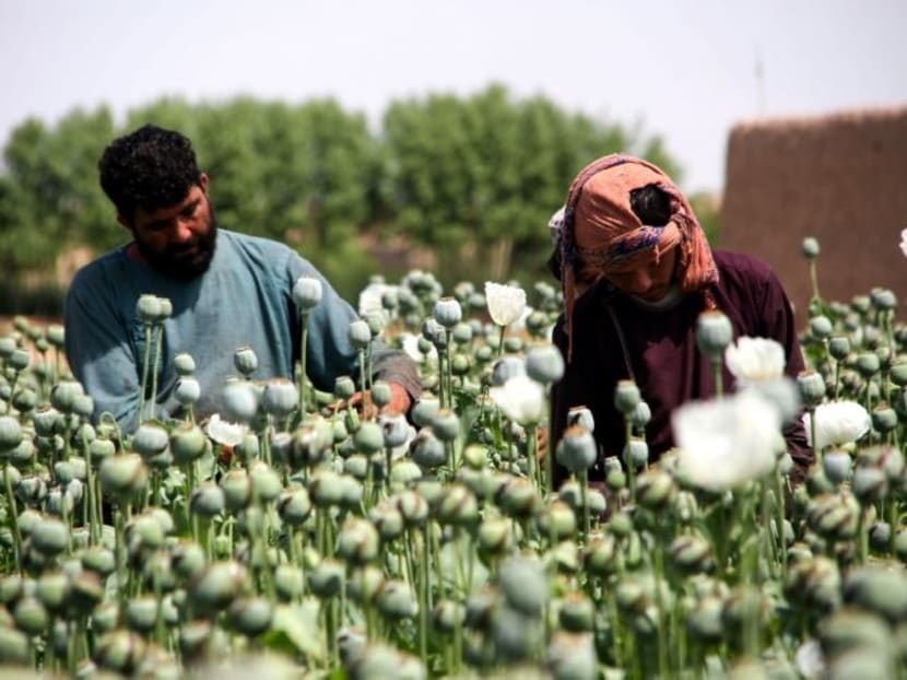Commentary: What the Afghanistan conflict means for global heroin trade Commentary: What the Afghanistan conflict means for global heroin trade