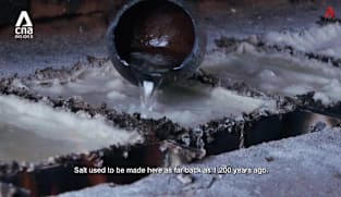 What's Coming Up - Salt Of The Earth