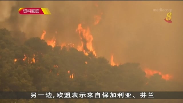 古特雷斯气候与环境会议上呼吁各国领导人带领人们走出困境