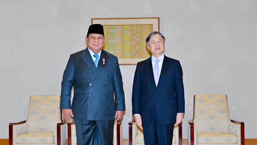 Bertandang ke Jepang, Prabowo pamer kemajuan Indonesia, tidak lagi seperti 20 tahun lalu