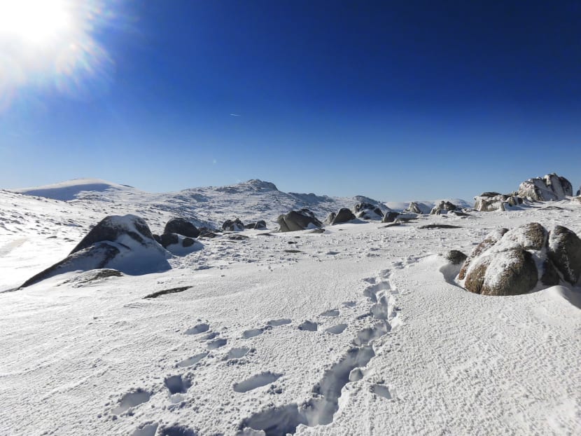 Australia’s snowy escapades