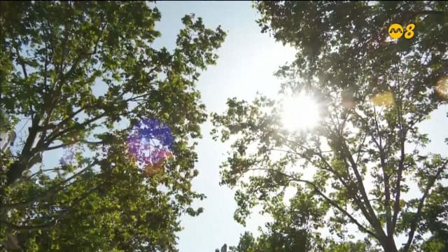 欧洲热浪持续肆虐 联合国：未来五年将打破更多高温纪录