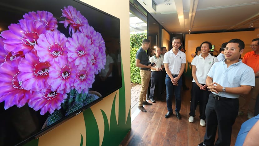 More enhancements to National Orchid Garden underway