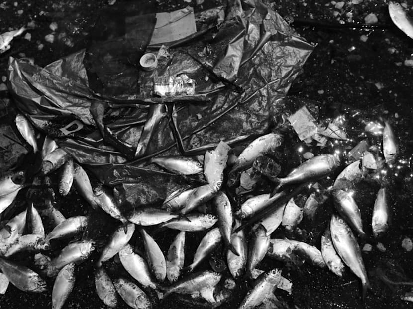 A global crisis of water quality looms