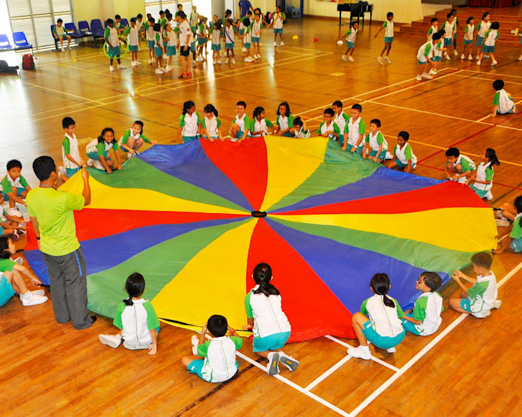 Niche scheme in primary schools being gradually phased out