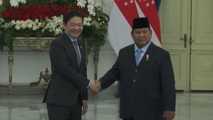 Singapore and Indonesia to collaborate on carbon credits, cross-border trade for SMEs