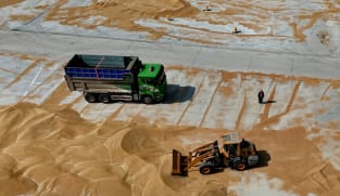 China issues weather alert as high temperature threatens wheat quality
