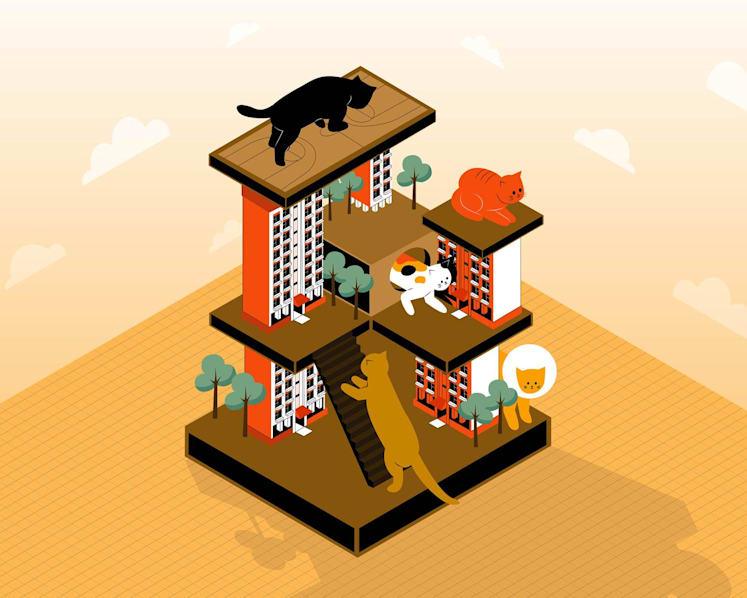 The Big Read: With ban in HDB flats set to be lifted, can pet cats coexist in harmony with residents?