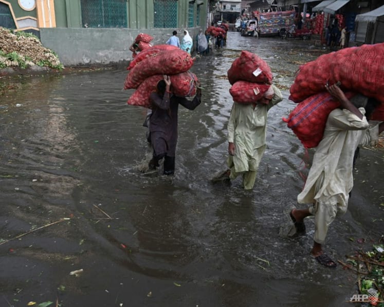 Pakistan floods: Better planning could have limited loss of life, immediate concerns include food security, say experts