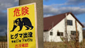 Schools in Tokyo suburb to get bear sprays