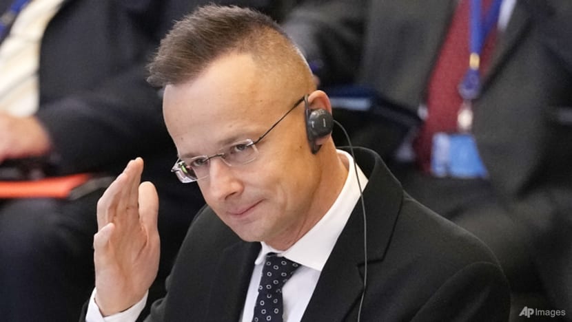 Hungary maintains 'pragmatic relationship' with Russia for energy needs, condemns Ukraine war: Foreign minister Hungary maintains 'pragmatic relationship' with Russia for energy needs, condemns Ukraine war: Foreign minister