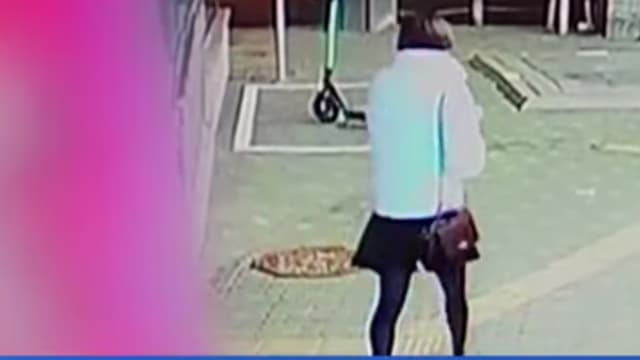 韩国大叔扮大妈 闯泳池企图偷窥女性更衣