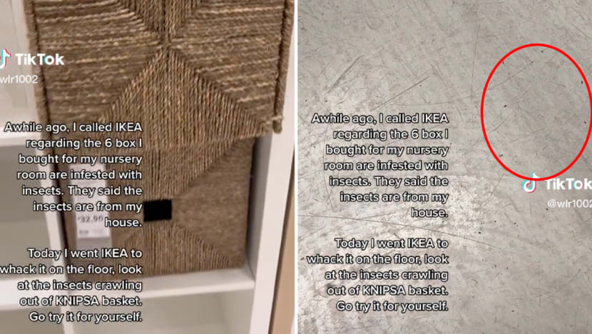 #trending: Woman upset that basket bought from Ikea S'pore was 'insect infested', firm removes item from sale pending probe