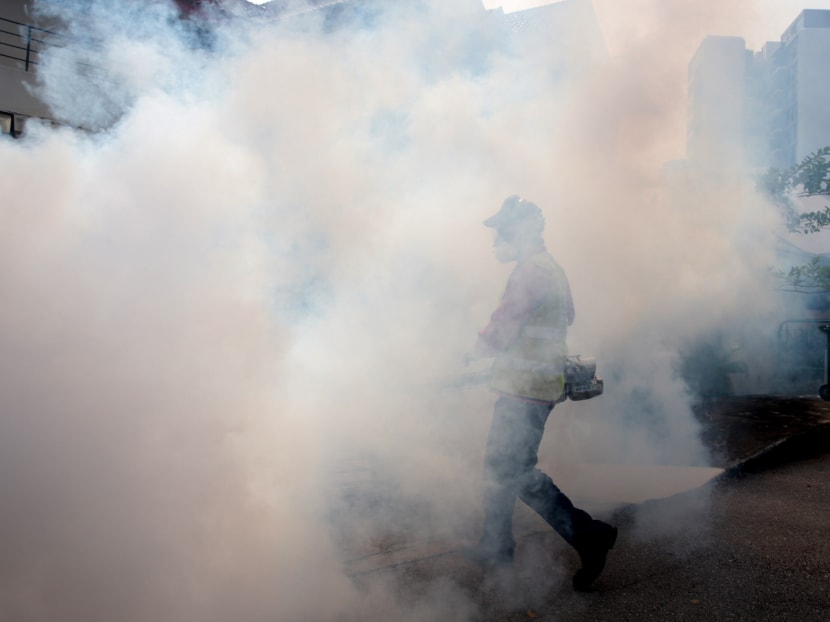 Thermal fogging carried out at Simon Place on March 30, 2017. Photo: Jason Quah/TODAY