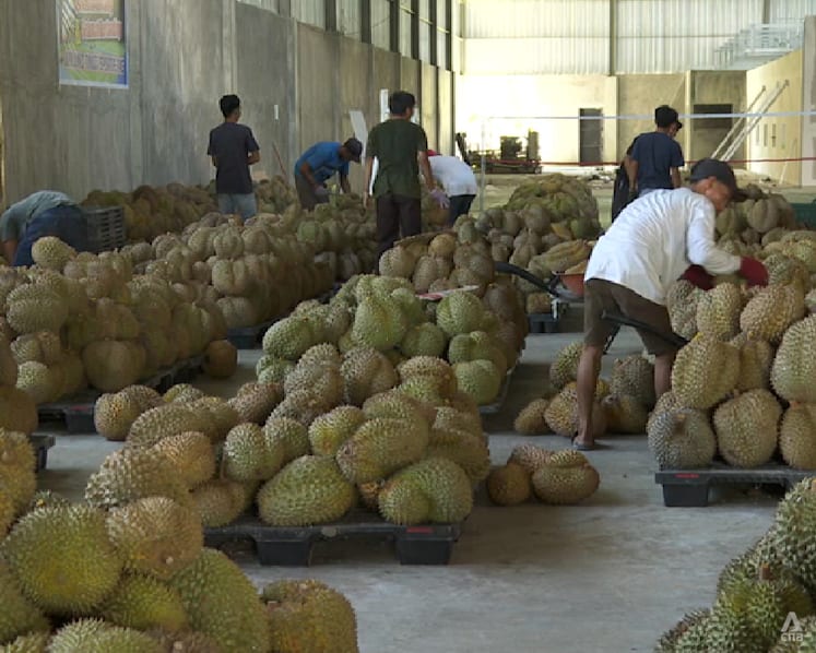 'Durian diplomacy': Indonesia aims to begin exports of frozen durians to China this year