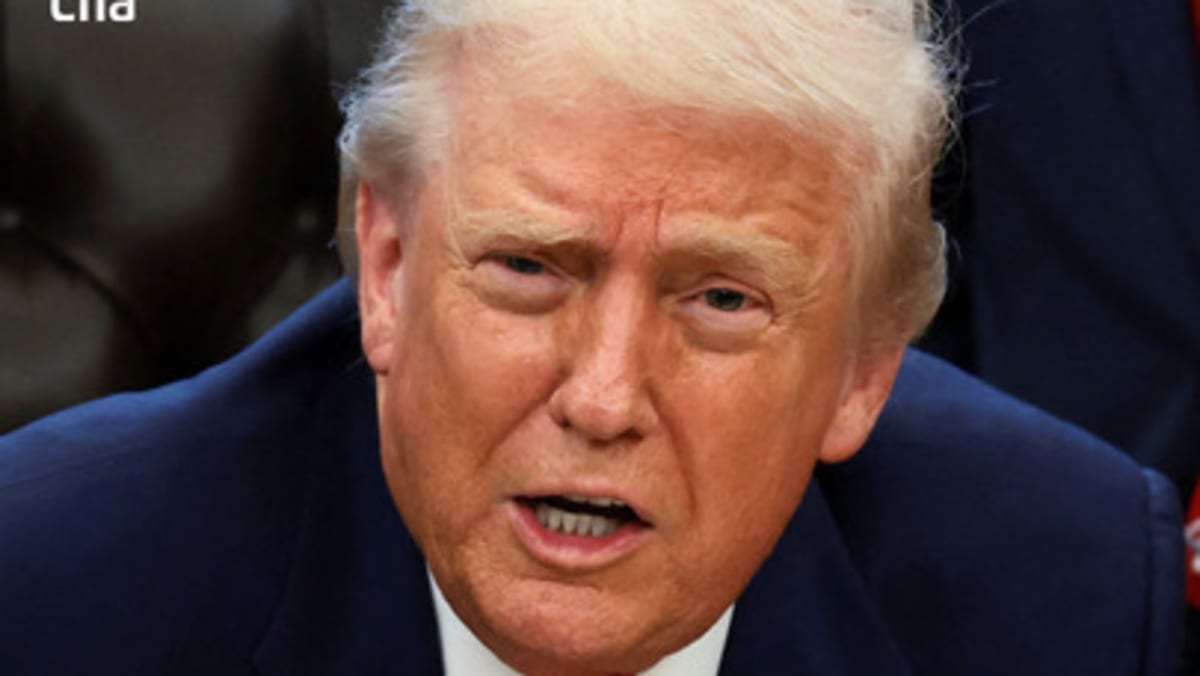 Trump scolds CNN reporter for asking about Epstein files - CNA
