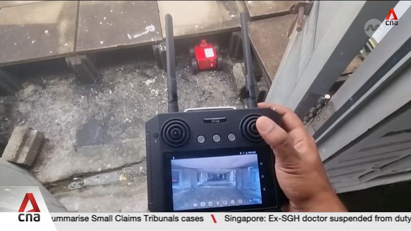 Pest control robots helping to keep mosquitoes, snakes at bay in Singapore