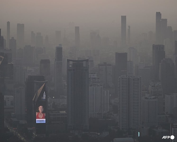 'Make emitters responsible': Thailand's clean air activists