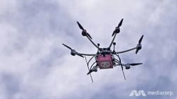 Related article image