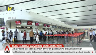 Global airlines set to see record profits amid robust demand in Asia Pacific
