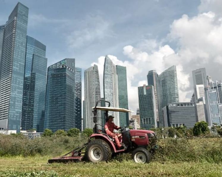 Commentary: Climate change in Singapore and what the future brings