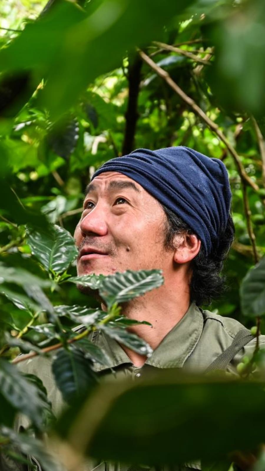 Thai coffee faces boom and doom paradox