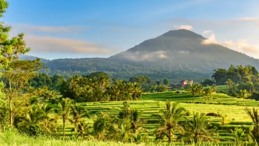  Warga SG pilih destinasi percutian di Asia Pasifik