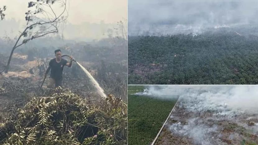 Rompin catat bacaan mutu udara tidak sihat akibat kebakaran ladang