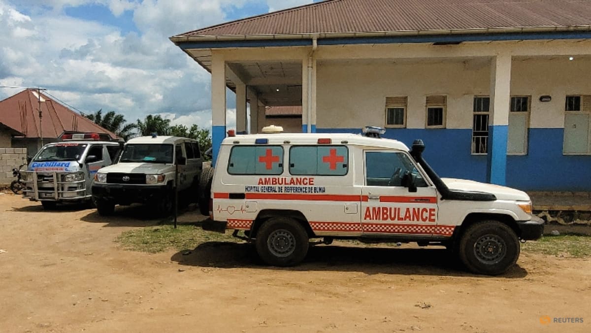 Ebola and hantavirus outbreaks sign of our 'dangerous' times: WHO