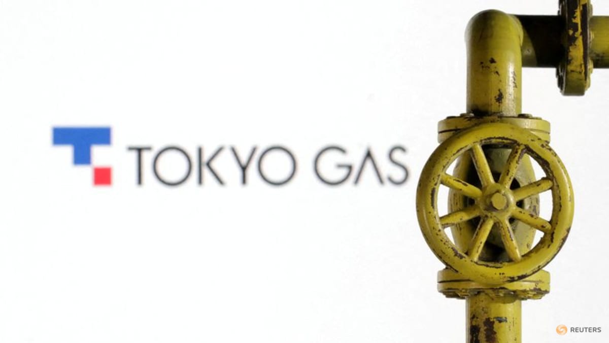 Tokyo Gas sells US gas unit to Grayrock Energy for $255 million - CNA